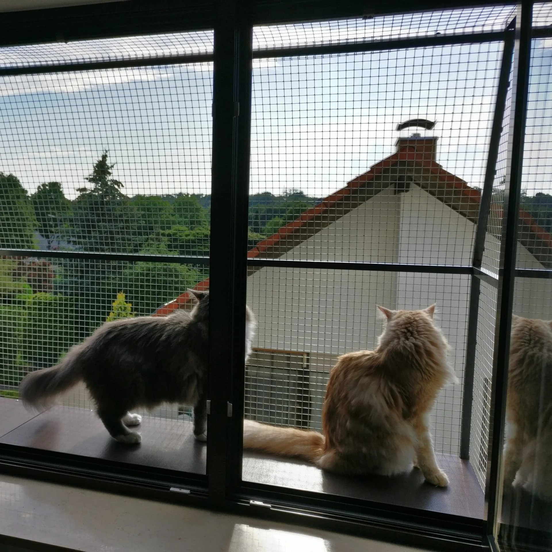 Katzenkatio für Fenster