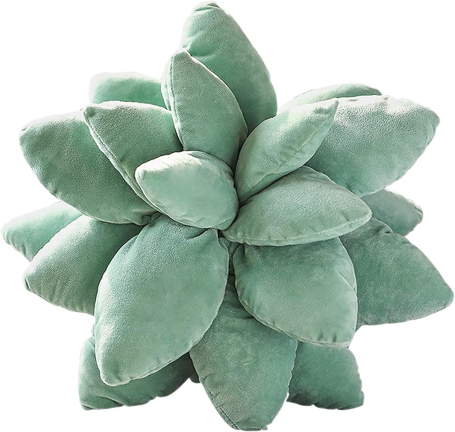 Succulent Cactus Pillow